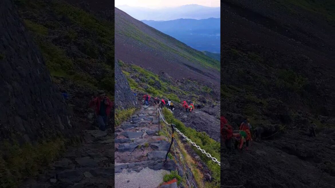 山小屋まで後少し #富士山 #山小屋 #fujisan #shorts