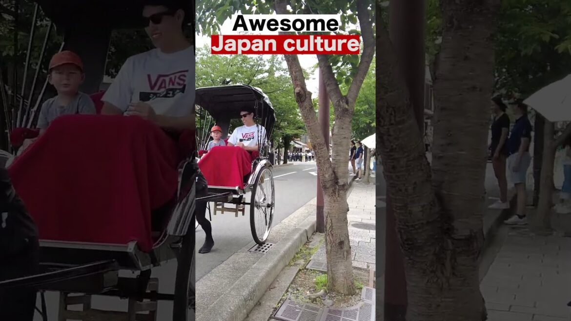 Kyoto Japan 🇯🇵 #travel #walkthrough #short #shorts #shortvideo #japan #kyoto #tokyo #trending