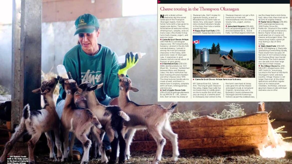 2013 Canada Media Marketplace, Northern Lights Awards: print: culinary