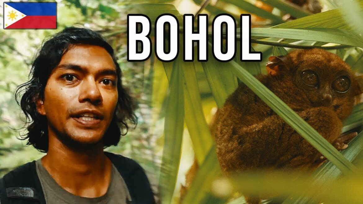 Deep in the Philippines Jungle – Bohol Travel Vlog 🇵🇭 Deep in the Philippines Jungle - Bohol Travel Vlog 🇵🇭