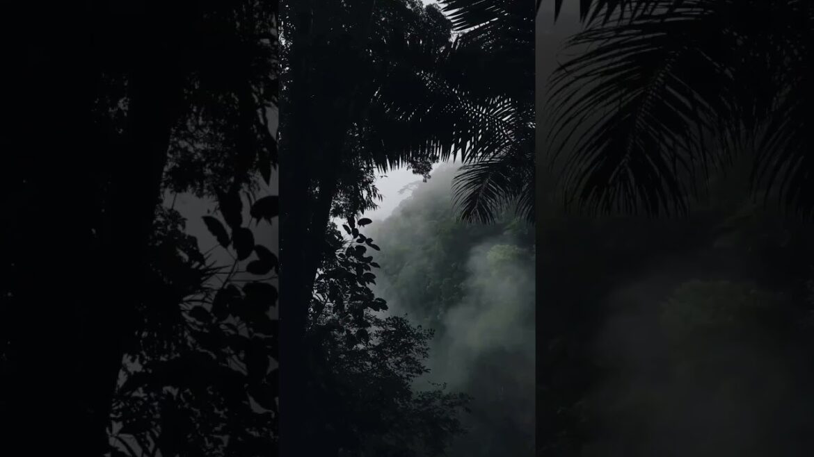 #shorts  | The natural environment in Sri Lanka is the same 😍🤩 #shorts  | The natural environment in Sri Lanka is the same 😍🤩