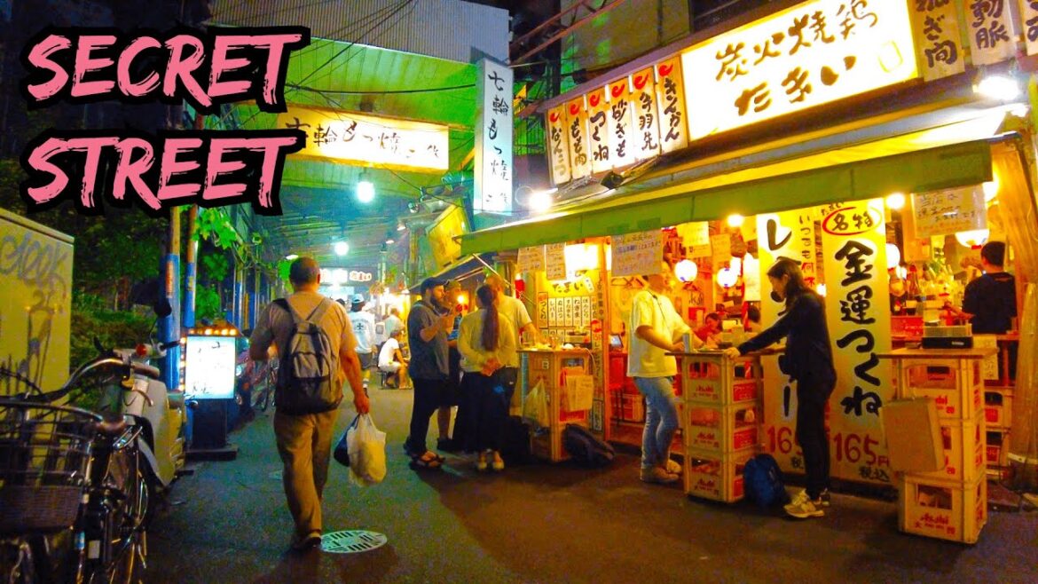 【4K】Japan Walk, Secret Night Towns, Mizonokuchi from Takatsu / 神奈川繁華街・夜に溝の口を高津から歩き倒す【Japan】