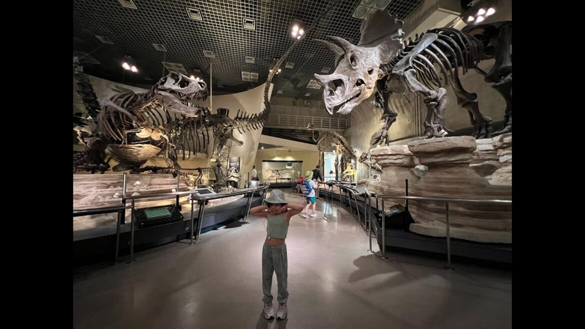 #4 Tokyo Japan Travel Vlog (Part 2) – AKIHABARA, UENO, TOKYO DISNEYLAND #4 Tokyo Japan Travel Vlog (Part 2) - AKIHABARA, UENO, TOKYO DISNEYLAND