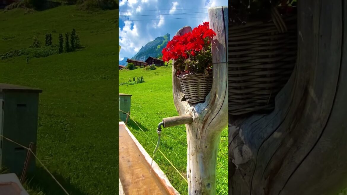 Ethereal Landscapes:A Journey to Enchanted Realms #nature #swissnature #travel #switzerlandvacations