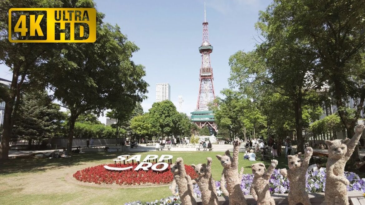 【4K】花フェスタ Hana Festa Sapporo 2023 散策 | 日本 北海道 札幌 中央区【Binaural ASMR】