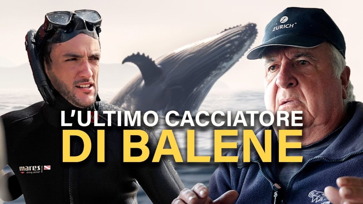 L'ULTIMO CACCIATORE DI BALENE delle Azzorre 🇵🇹