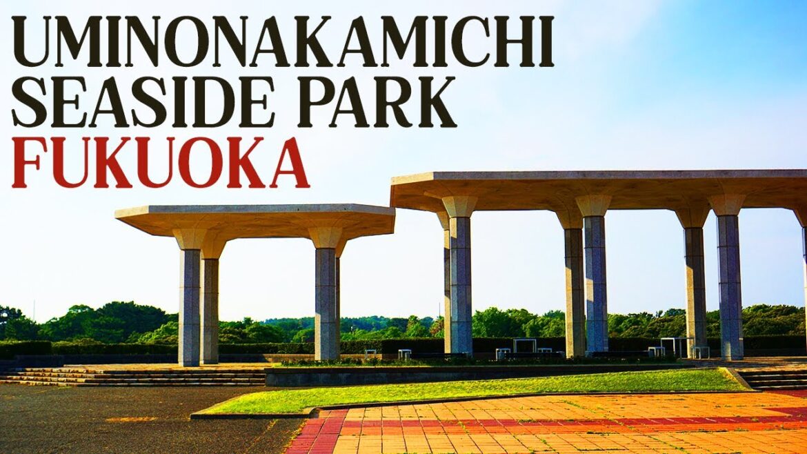 Uminonakamichi Seaside Park: Unexpected Discoveries and Stunning Coastal Beauty Uminonakamichi Seaside Park: Unexpected Discoveries and Stunning Coastal Beauty