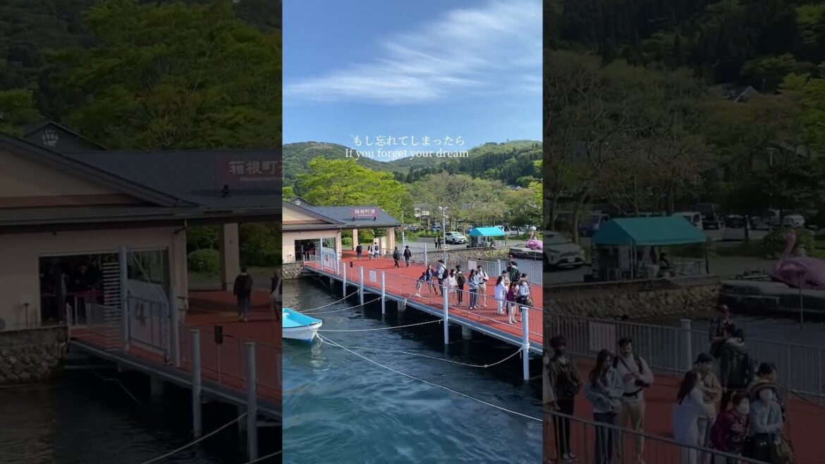 Pirate Ship | Torii Whispers #japantravel #japanvlog #japan #japaneseculture #japanlife #tokyo