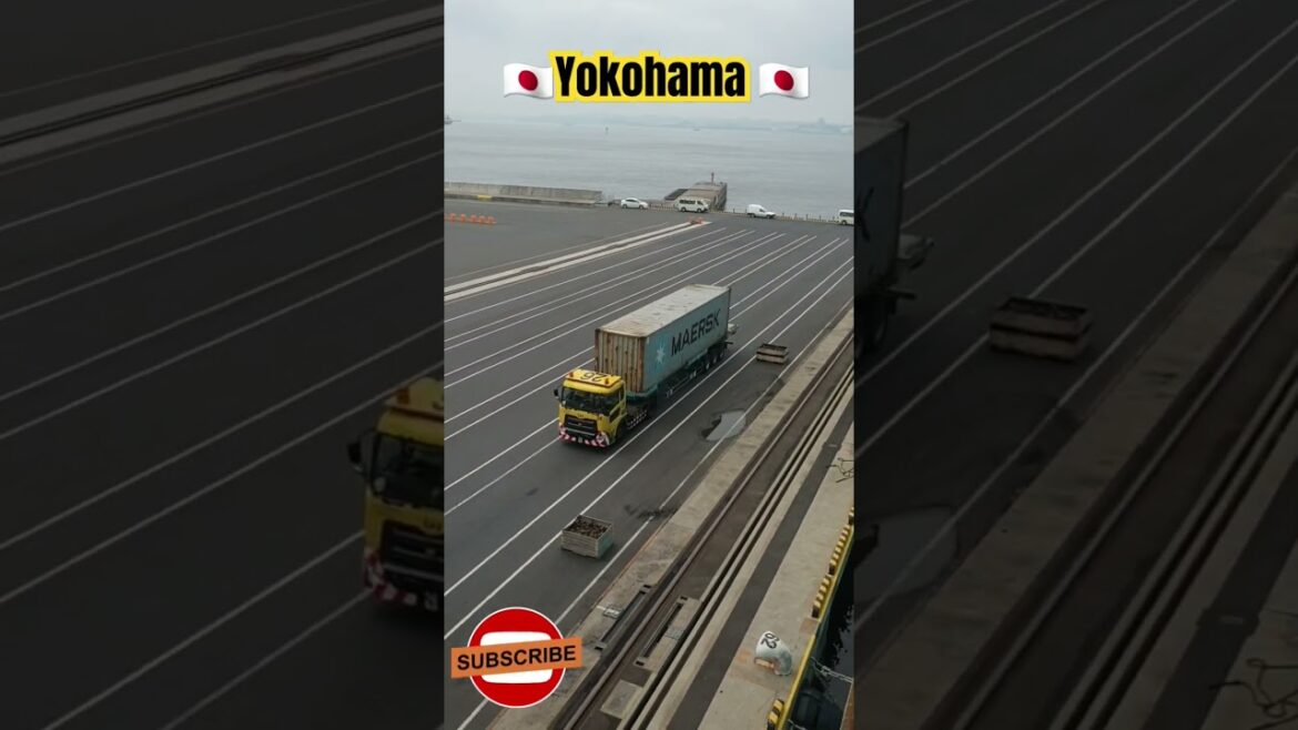 Yokohama🇯🇵 #viral #trending #japan #youtubeshorts #shorts Yokohama🇯🇵 #viral #trending #japan #youtubeshorts #shorts