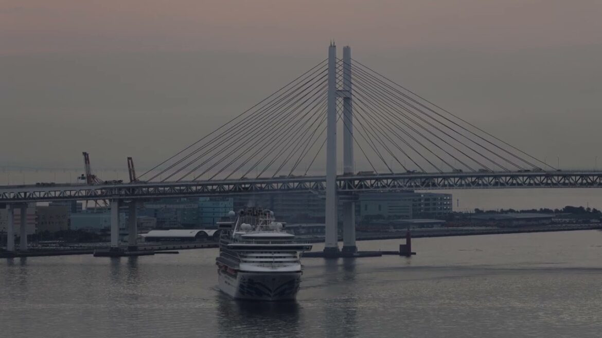 ダイヤモンド・プリンセス - DIAMOND PRINCESS - 　入港・着岸（横浜港大さん橋）　[4K](2023年6月29日)