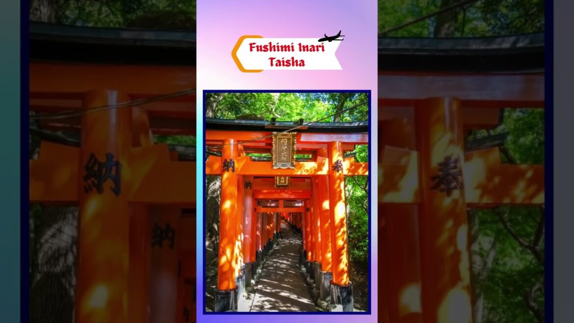Top Attractions in Kyoto #travel #shorts #kyoto