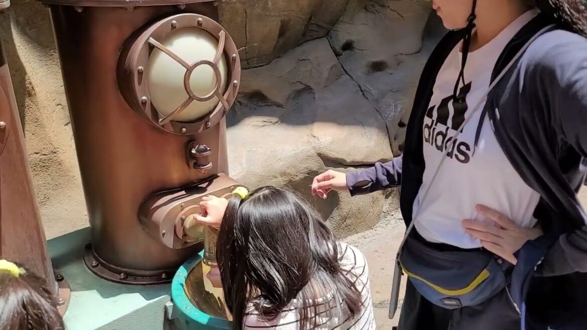 Tokyo DisneySea (東京迪士尼海洋) Tokyo DisneySea (東京迪士尼海洋)