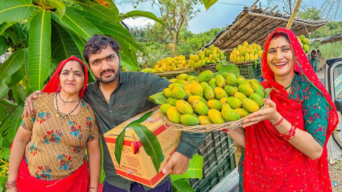Ghar aa gye kitne sare aam le kar 🥭😍😃 Ghar aa gye kitne sare aam le kar 🥭😍😃