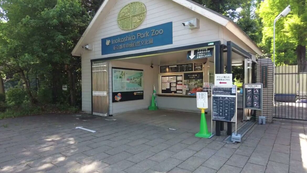 Inokashira Park, Tokyo (Walk around NY 2023 4K) Inokashira Park, Tokyo (Walk around NY 2023 4K)