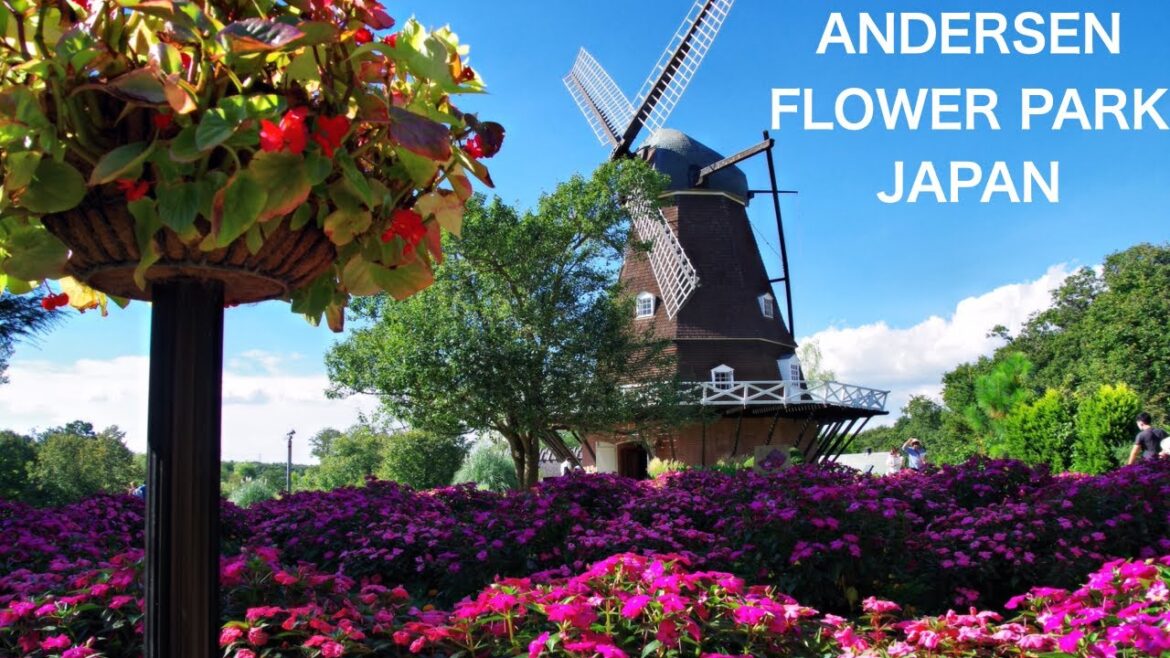 【JAPAN：Funabashi Andersen Park】Walking in the park filled with Summer flowers　JAPAN TRAVEL