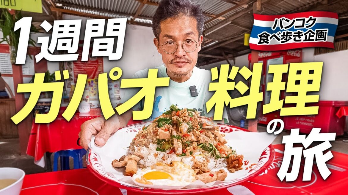 ガパオ料理を1週間食べ続けました｜バンコクで行っておきたい7店舗