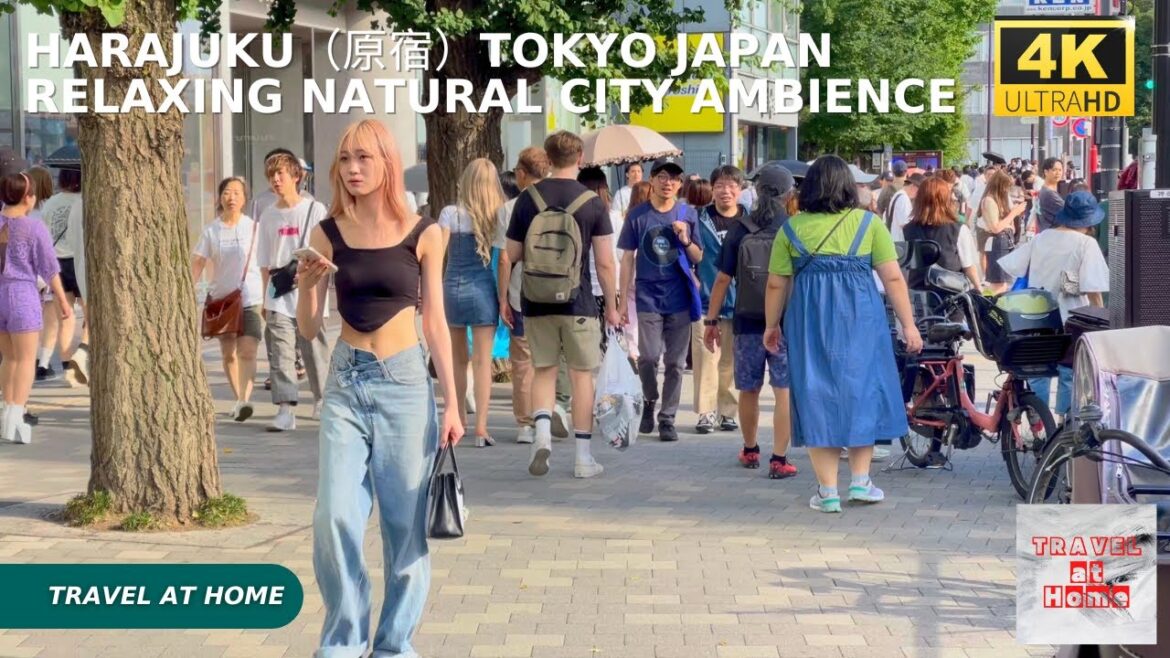4k hdr japan travel | Walk in Harajuku(原宿)Tokyo japan | Relaxing Natural City ambience 4k hdr japan travel | Walk in Harajuku(原宿)Tokyo japan | Relaxing Natural City ambience