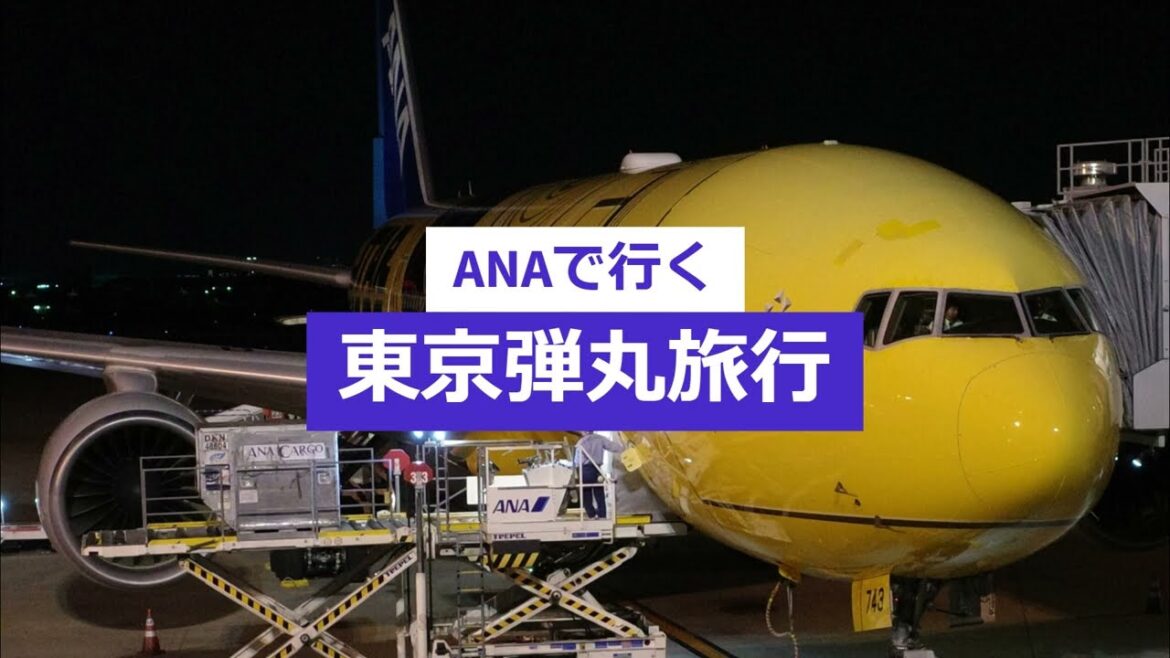 #183【旅行】【航空機】ANAで行く東京弾丸旅行/東京国際空港(HND)→ 大阪国際空港(ITM)/行きも帰りも、「C-3PO ANA JET」/ボーイング777-200ER/ #183【旅行】【航空機】ANAで行く東京弾丸旅行/東京国際空港(HND)→ 大阪国際空港(ITM)/行きも帰りも、「C-3PO ANA JET」/ボーイング777-200ER/