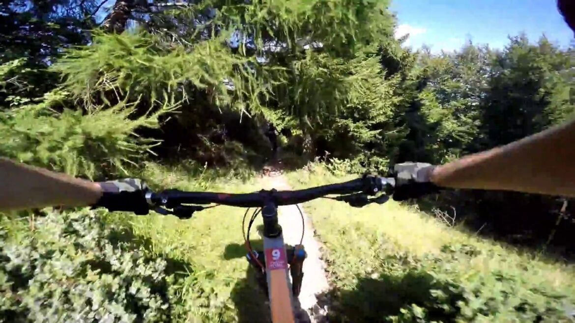 MTB Italy – Monte Altissimo di Nago MTB Italy - Monte Altissimo di Nago