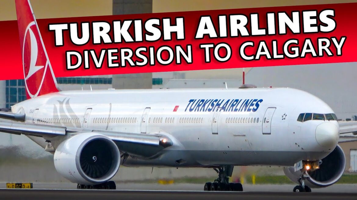 DIVERSION! Turkish Airlines 777-300ER Takeoff from Calgary Airport DIVERSION! Turkish Airlines 777-300ER Takeoff from Calgary Airport