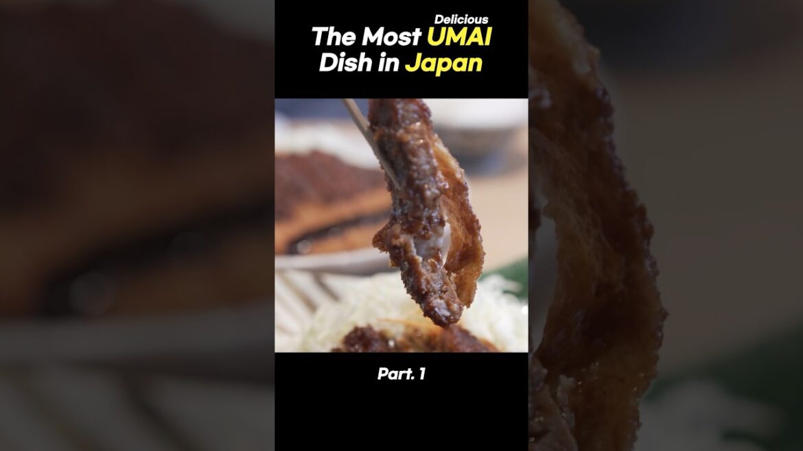 Exploring the most UMAI restaurants of Nagoya! Part. 1