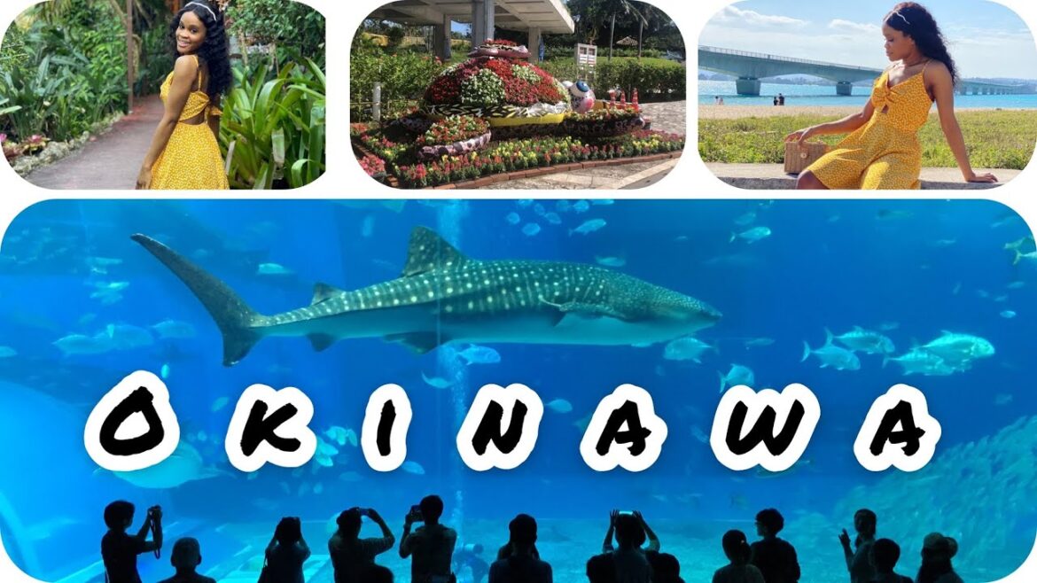 OKINAWA VLOG | Nago Pineapple Park, Kouri Island, Okinawa Churaumi Aquarium, Cape Manza