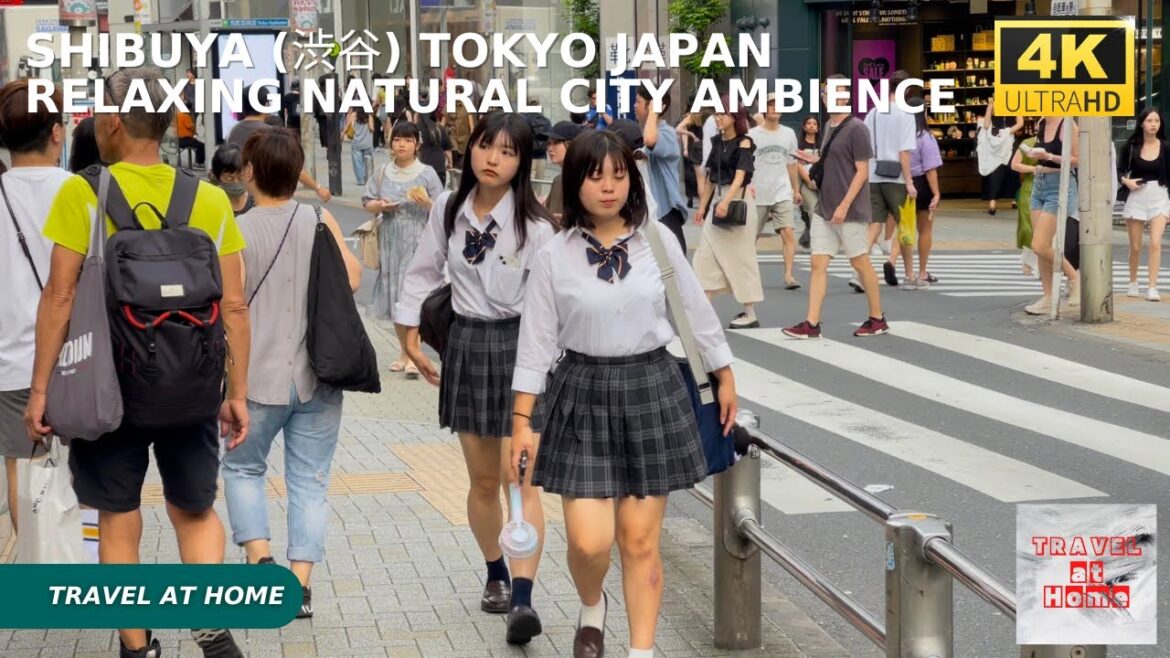 4k hdr japan travel | Walk in Shibuya (渋谷) Tokyo japan | Relaxing Natural City ambience 4k hdr japan travel | Walk in Shibuya (渋谷) Tokyo japan | Relaxing Natural City ambience