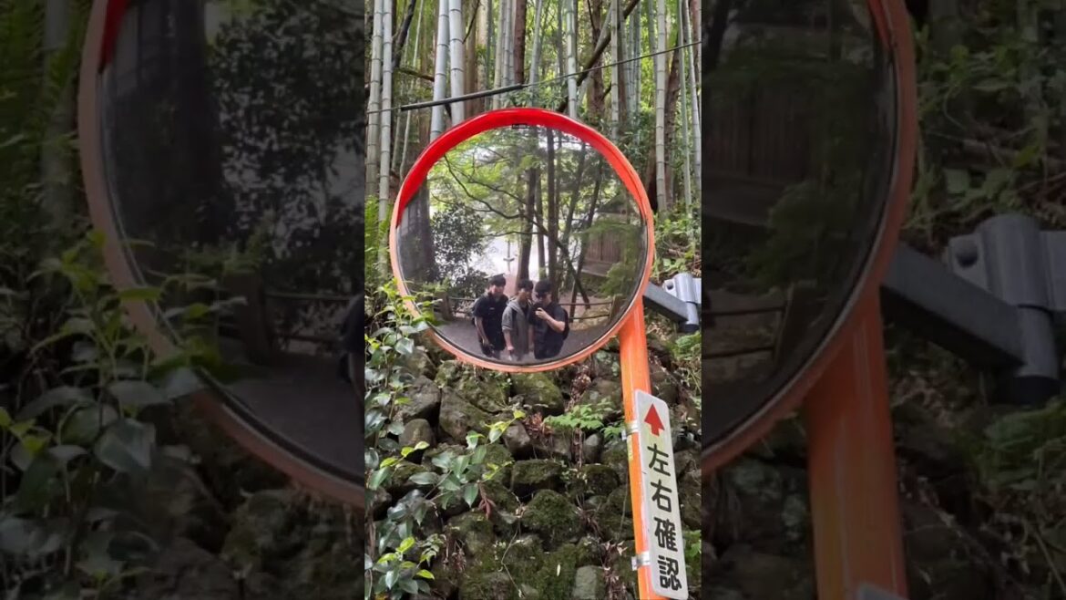 ๐ค์ฌ๋ฆ์๋ ํ์ฟ ์ค์นด์ง๐ค ์์ฆ ๋ ์ค๋ฅด๋ ๋น๋ฃจํฌ์ด๐ป ๐ค์ฌ๋ฆ์๋ ํ์ฟ ์ค์นด์ง๐ค ์์ฆ ๋ ์ค๋ฅด๋ ๋น๋ฃจํฌ์ด๐ป