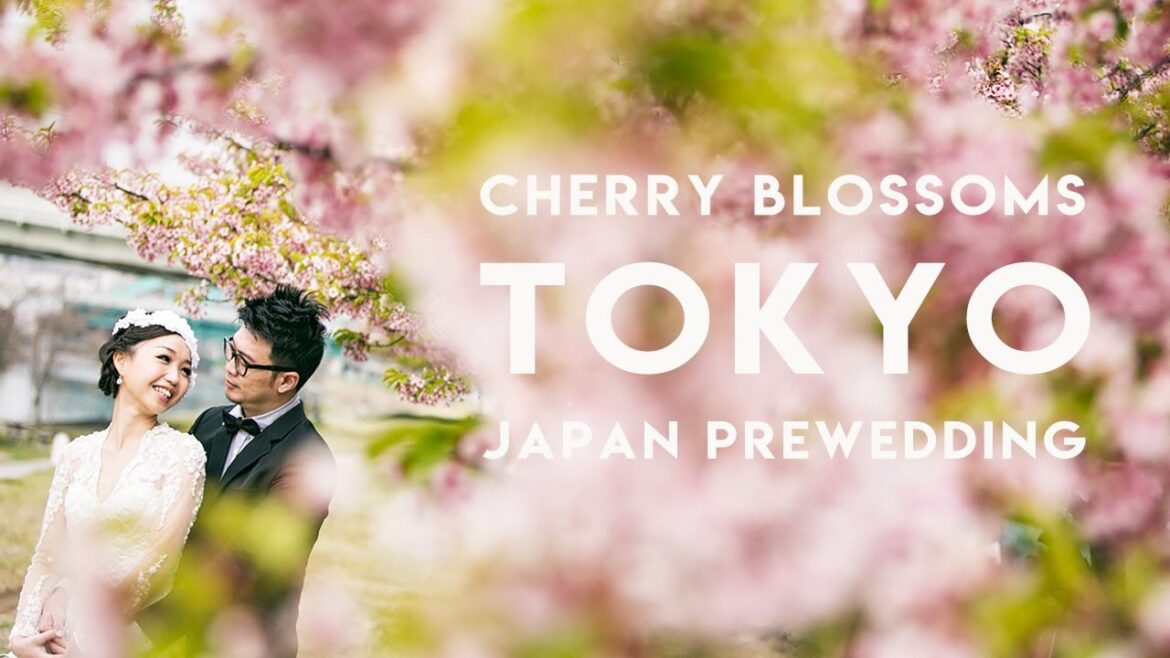 Pre wedding photo+movie with cherry blossom Tokyo in Japan Pre wedding photo+movie with cherry blossom Tokyo in Japan