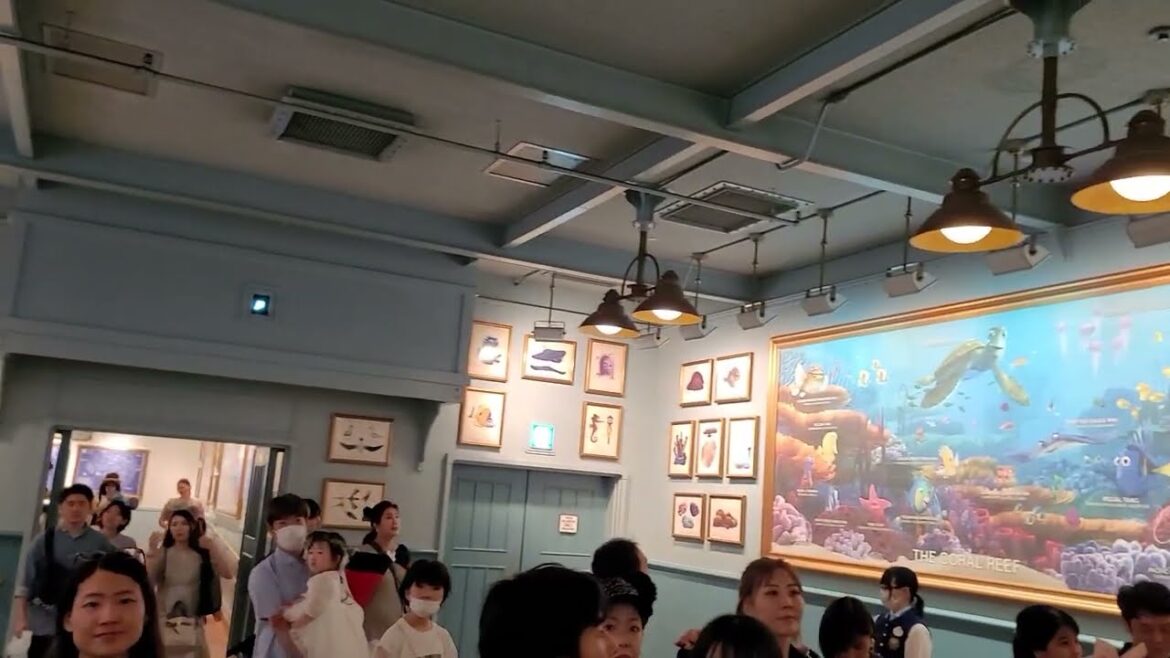 烏龜表演 Tokyo DisneySea (東京迪士尼海洋) 烏龜表演 Tokyo DisneySea (東京迪士尼海洋)