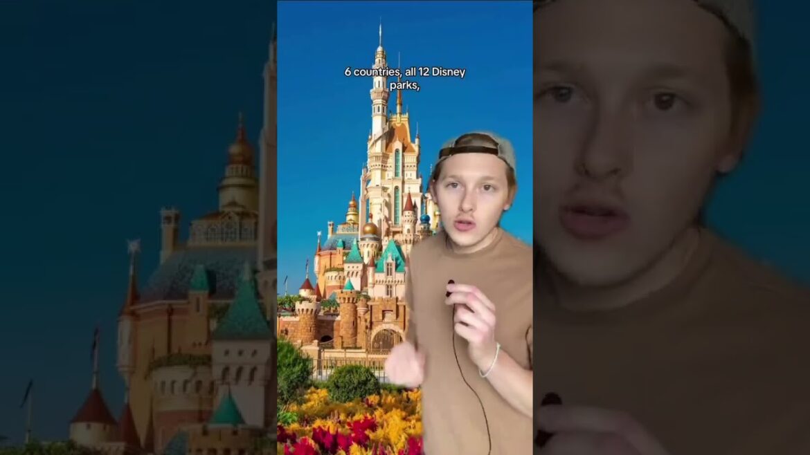 Let’s Go On Disney’s $115,000 Private Jet Adventure Let's Go On Disney’s $115,000 Private Jet Adventure