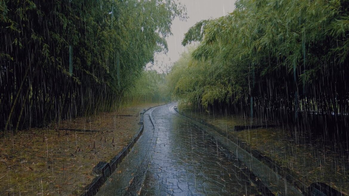 4K ASMR Heavy Rain Walk at Botanical Garden Osaka Japan | Rain Ambience Sounds Relax Sleep Study