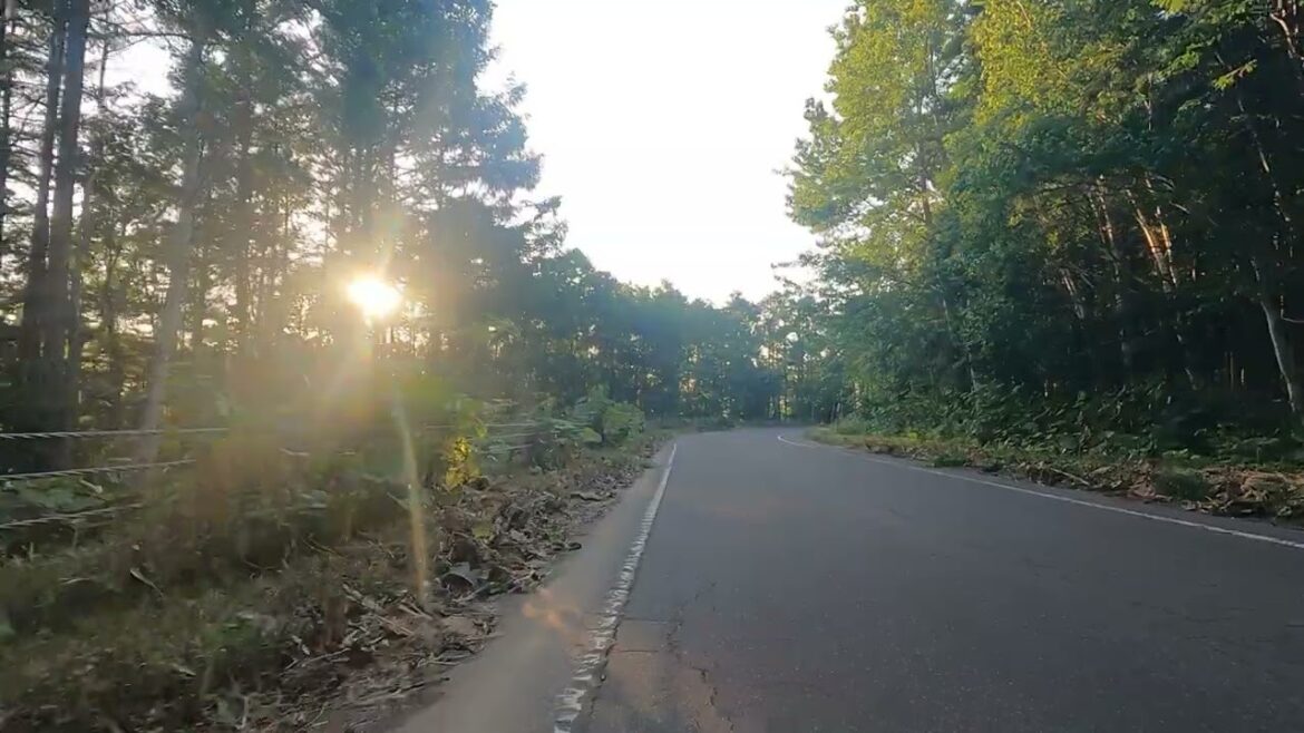 descending Mt.Tengu  Otaru in Japan/小樽　天狗山downhill