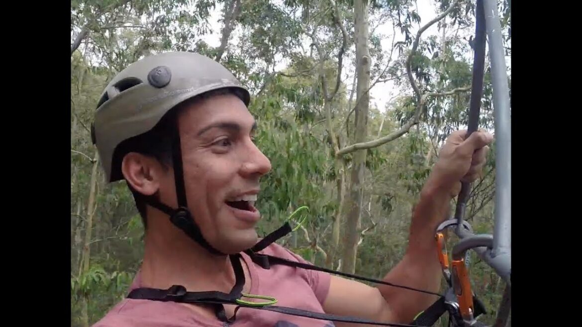 The World’s Longest Rollercoaster Zip Line. Tree Top Crazy Rider Xtreme, Ourimbah State Forest The World’s Longest Rollercoaster Zip Line. Tree Top Crazy Rider Xtreme, Ourimbah State Forest