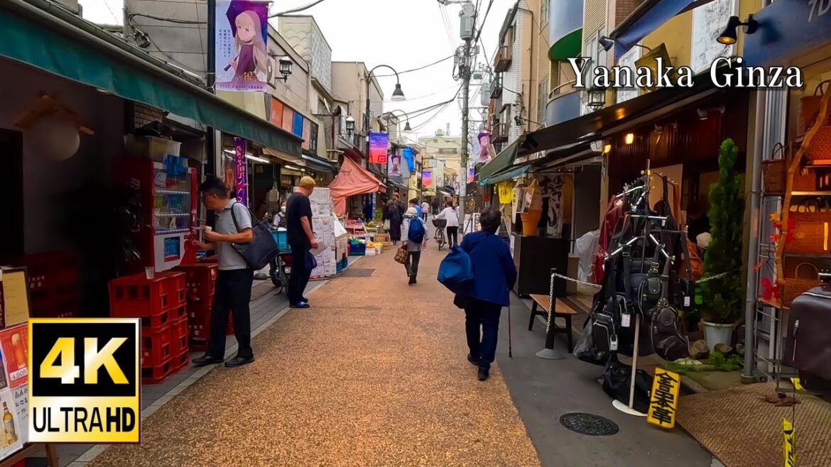 Tokyo Walk Yanaka Ginza /4K