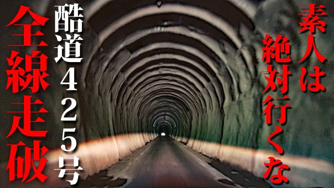 【酷道】日本最凶！国道425号を全線走破する