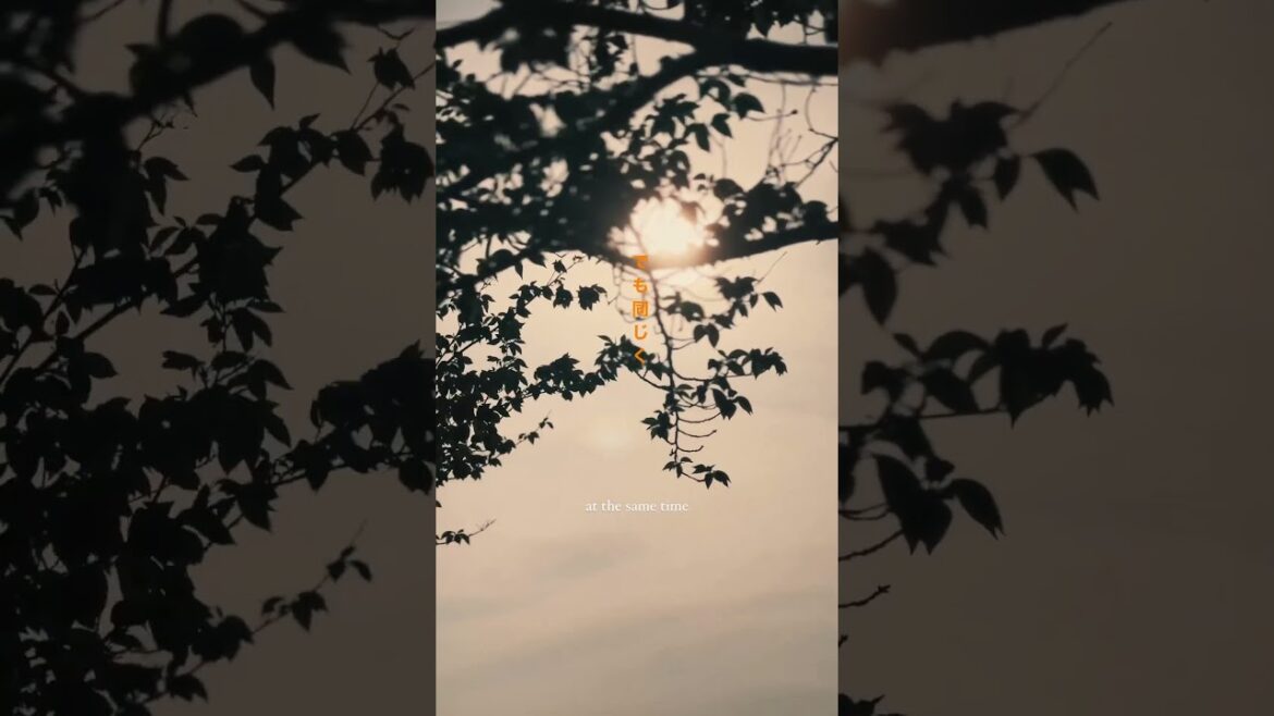 It's OK | Torii Whispers #japantravel #japanvlog #japan #japanesetrains  #japanlife #tokyo