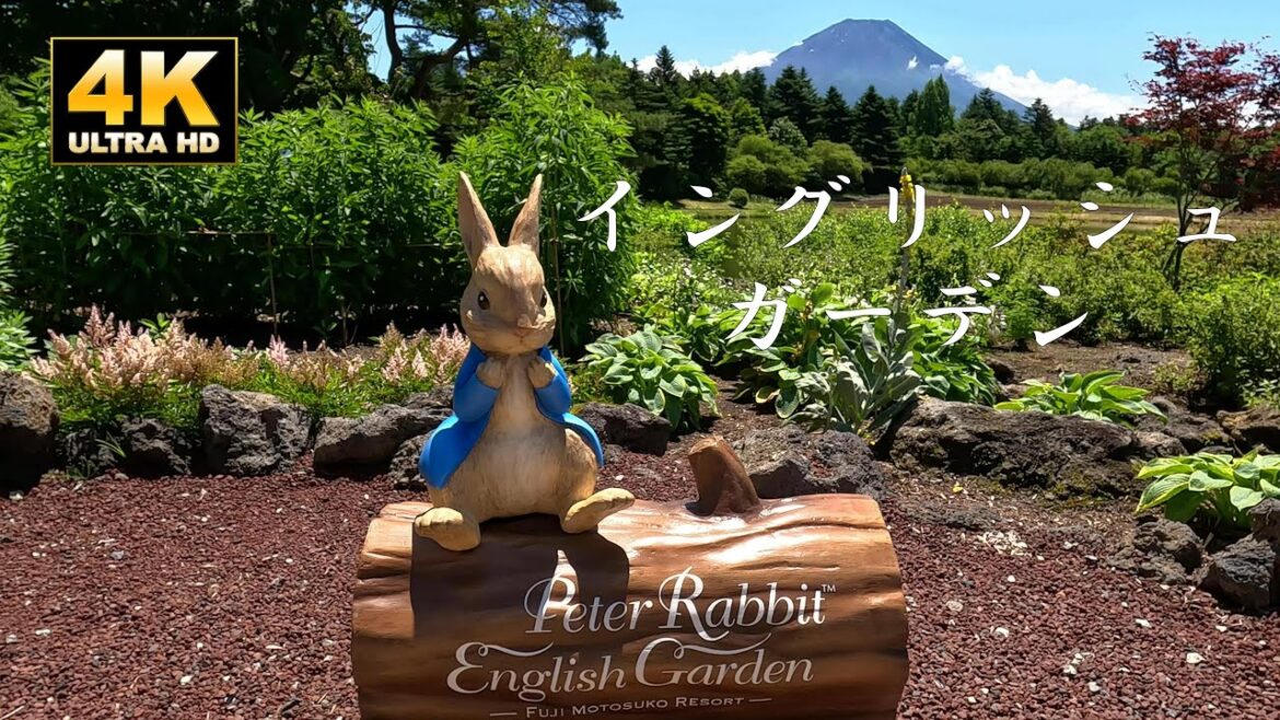 富士山とピーターラビットイングリッシュガーデン【歩き動画】 Mt.Fuji and Peter Rabbit English Garden Walking Video 富士山とピーターラビットイングリッシュガーデン【歩き動画】 Mt.Fuji and Peter Rabbit English Garden Walking Video