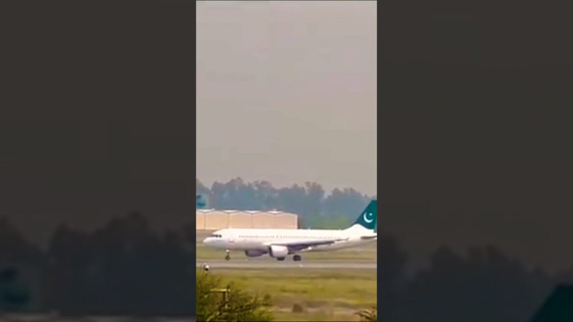 PIA AirLine Sialkot International Airport #shorts #short #shortsvideo