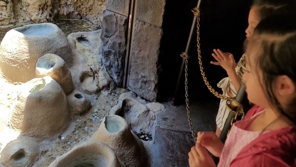 Tokyo DisneySea (東京迪士尼海洋)