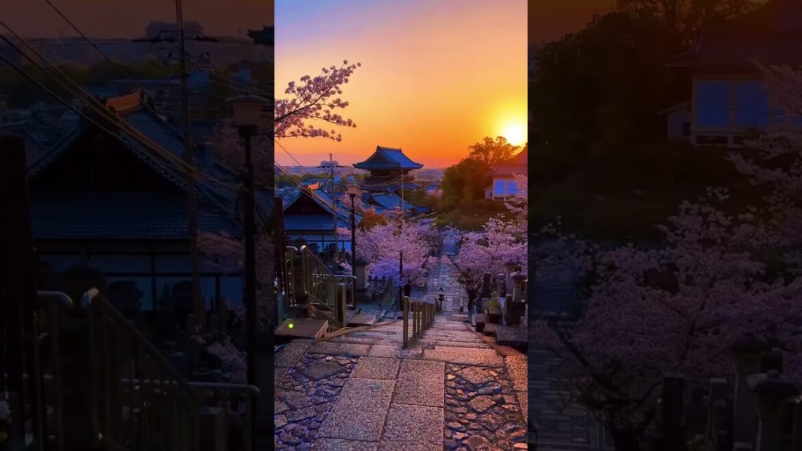 Konkai-Komyoji temple near kyoto 🌍🌿 Epic Travel & Nature Explorations