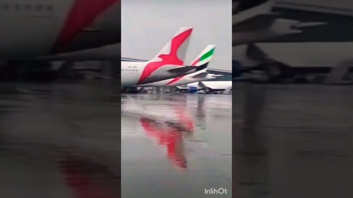 Top Airlines Showdown: Emirates A380, PIA Boeing 737, AirArabia A320 #shorts #short #ytshorts Top Airlines Showdown: Emirates A380, PIA Boeing 737, AirArabia A320 #shorts #short #ytshorts