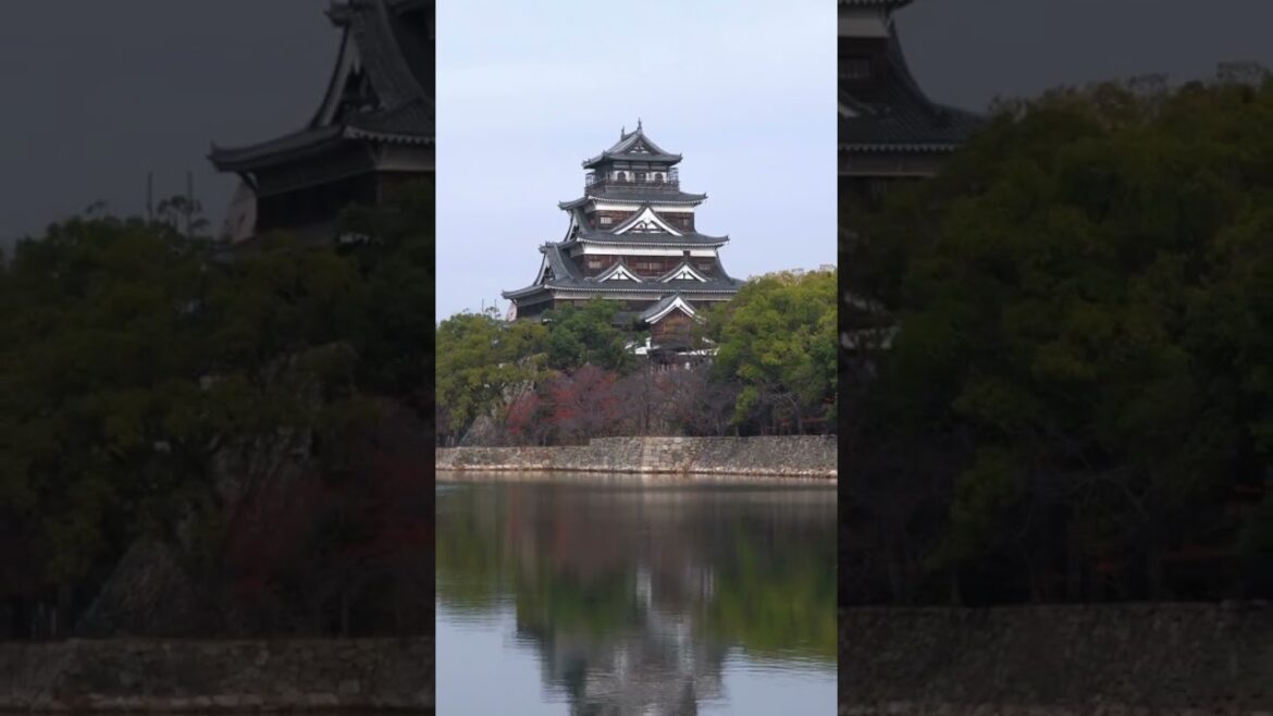 📸O Japão é um Sonho 🇯🇵❤️ #travel #shorts 📸O Japão é um Sonho 🇯🇵❤️ #travel #shorts
