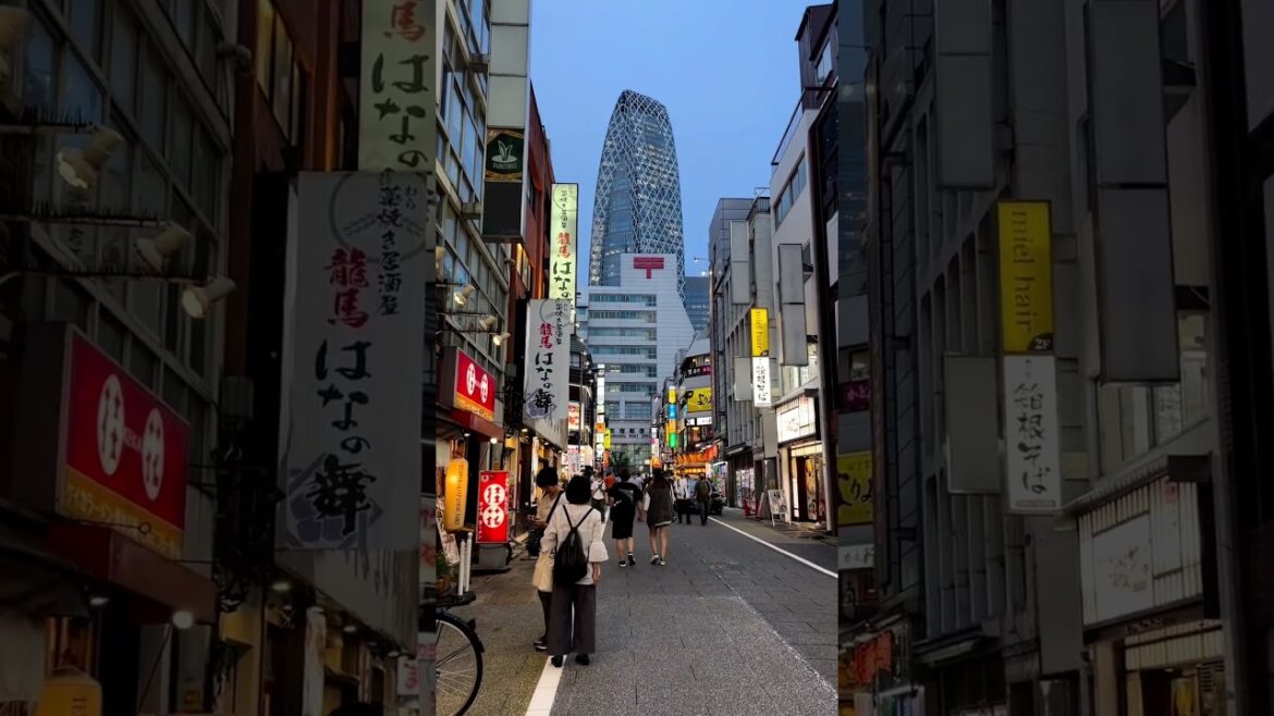 Let's walk | Torii Whispers #japantravel #japanvlog #japan #japaneseculture #japanlife #tokyo