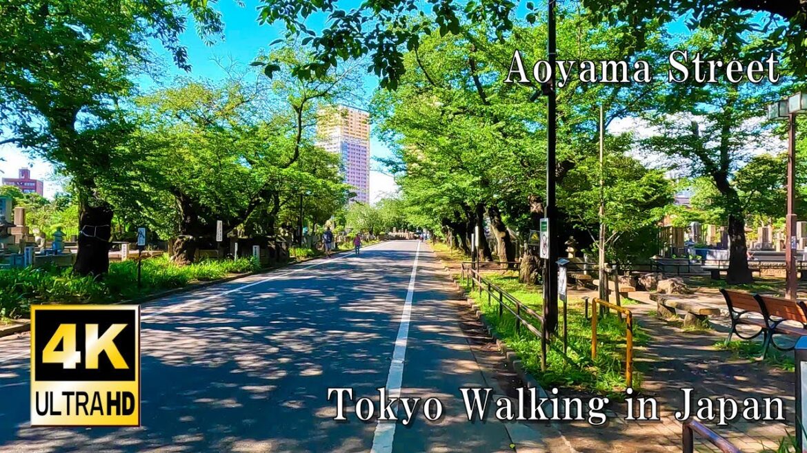 4K Japan Walk in Yanaka Reien /1hours 4K Japan Walk in Yanaka Reien /1hours