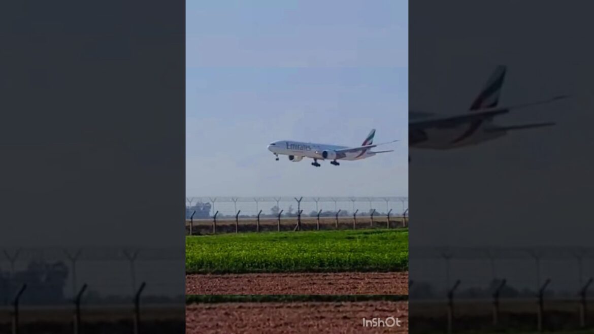 Emirates Aircraft Landing Sialkot International Airport #shorts #short #viralshorts Emirates Aircraft Landing Sialkot International Airport #shorts #short #viralshorts