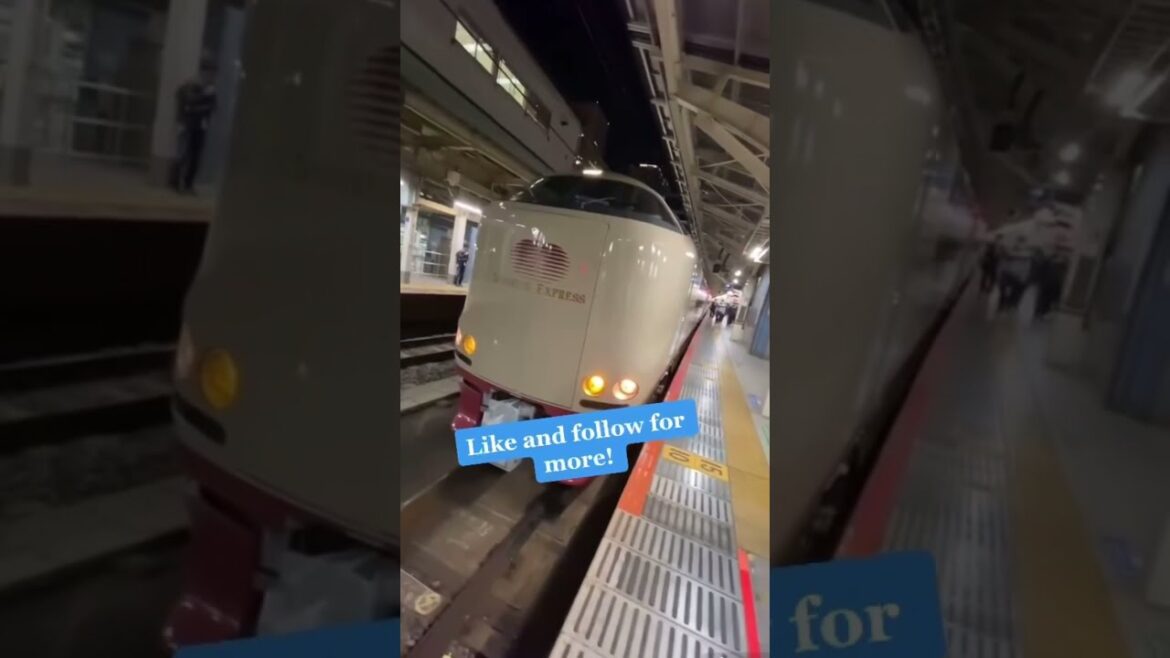 One of the last sleeper car trains in #japan ! The Sunrise Express #shorts One of the last sleeper car trains in #japan ! The Sunrise Express #shorts