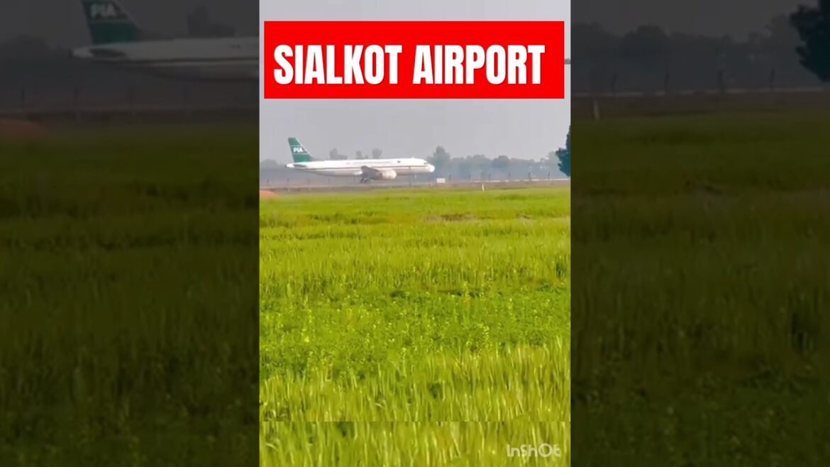 PIA AirLine Takeoff Sialkot International Airport #shorts #short #shortsvideo #youtubeshorts PIA AirLine Takeoff Sialkot International Airport #shorts #short #shortsvideo #youtubeshorts