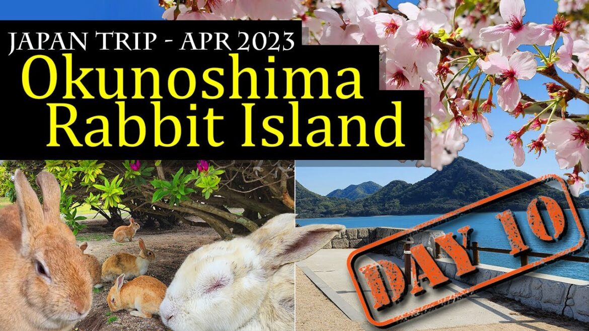 Rabbit Island Escapade: A Cuteness Overload and Scenic Delight at Okunoshima, Japan Rabbit Island Escapade: A Cuteness Overload and Scenic Delight at Okunoshima, Japan