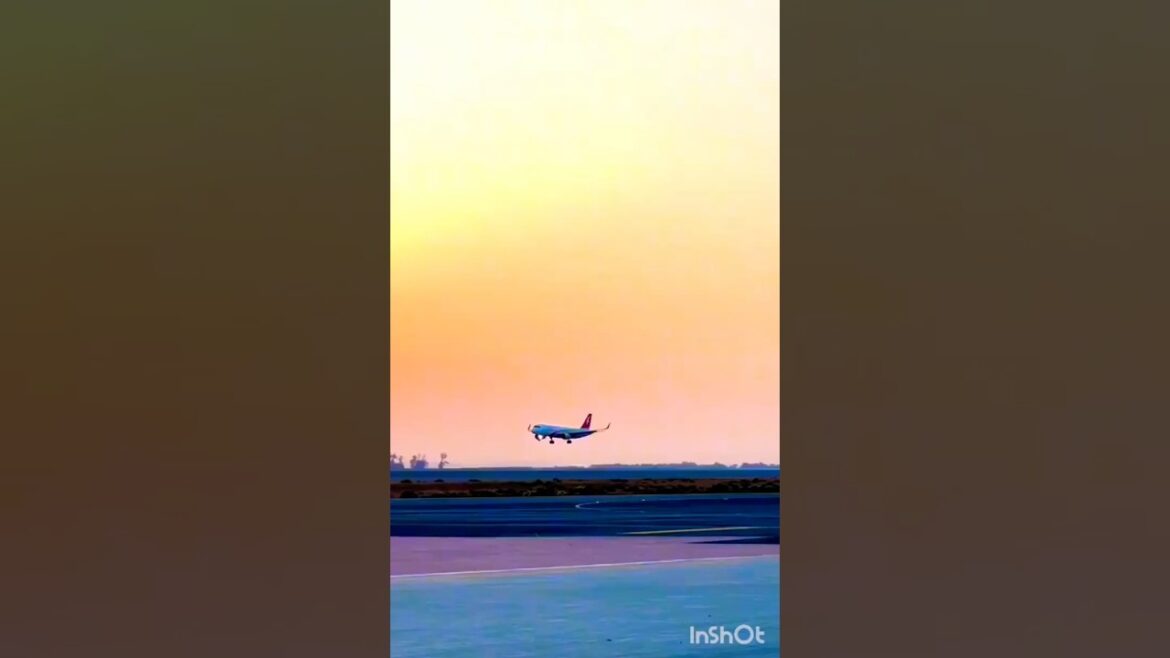 Turkish Aircraft landing in Pakistan #shorts #short #shortsvideo